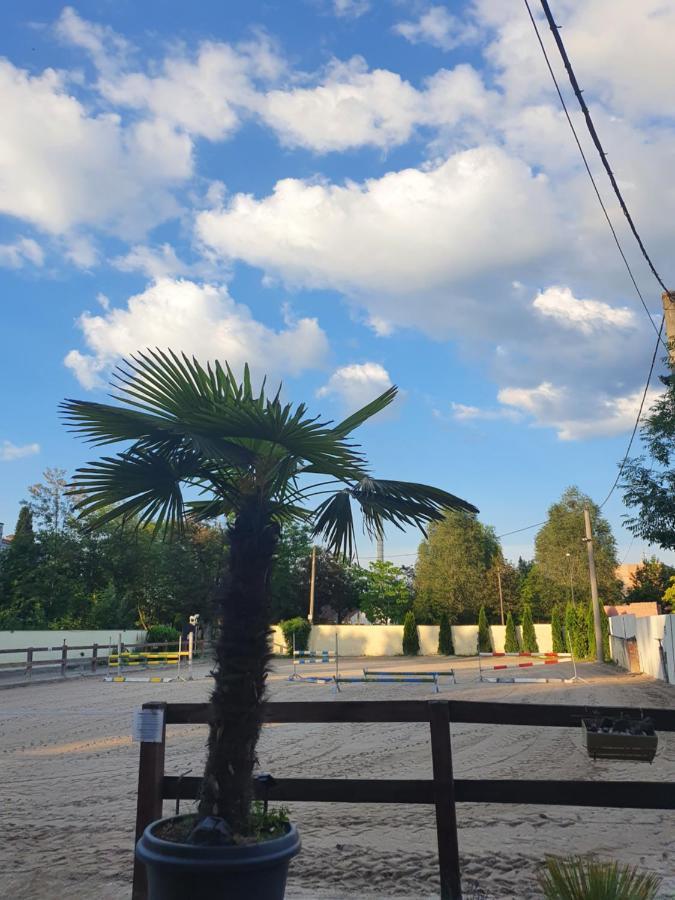 Farm Stay Nh Stables Nyrany Екстер'єр фото