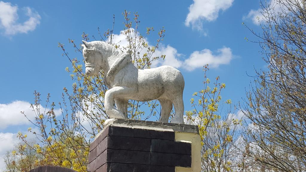 Farm Stay Nh Stables Nyrany Екстер'єр фото