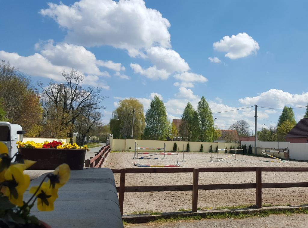 Farm Stay Nh Stables Nyrany Екстер'єр фото