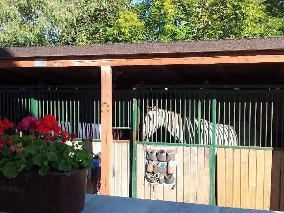 Farm Stay Nh Stables Nyrany Екстер'єр фото