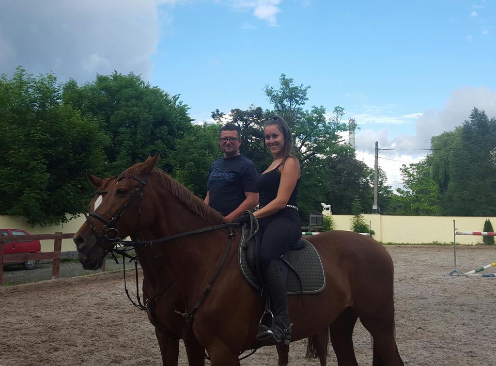 Farm Stay Nh Stables Nyrany Екстер'єр фото