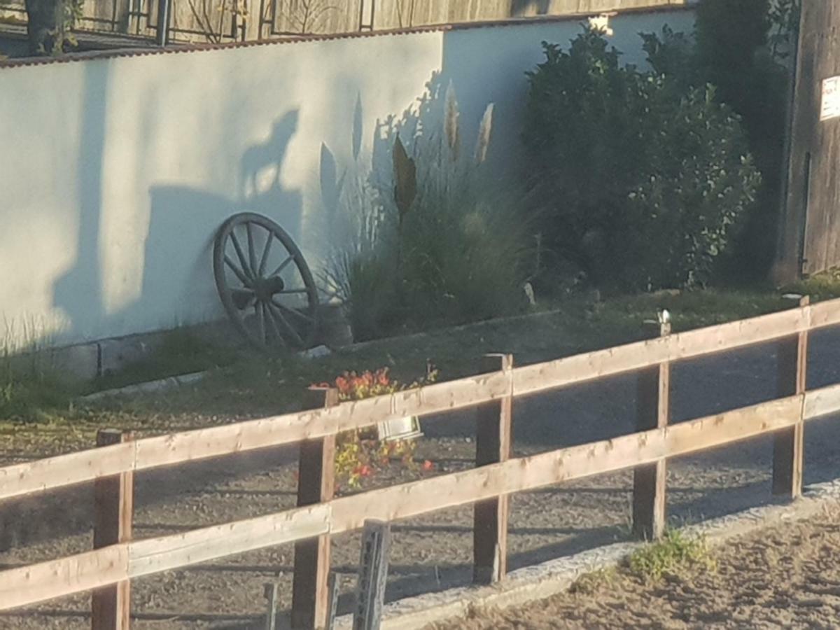 Farm Stay Nh Stables Nyrany Екстер'єр фото