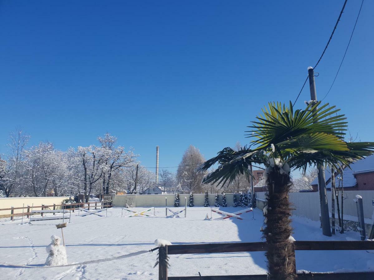 Farm Stay Nh Stables Nyrany Екстер'єр фото