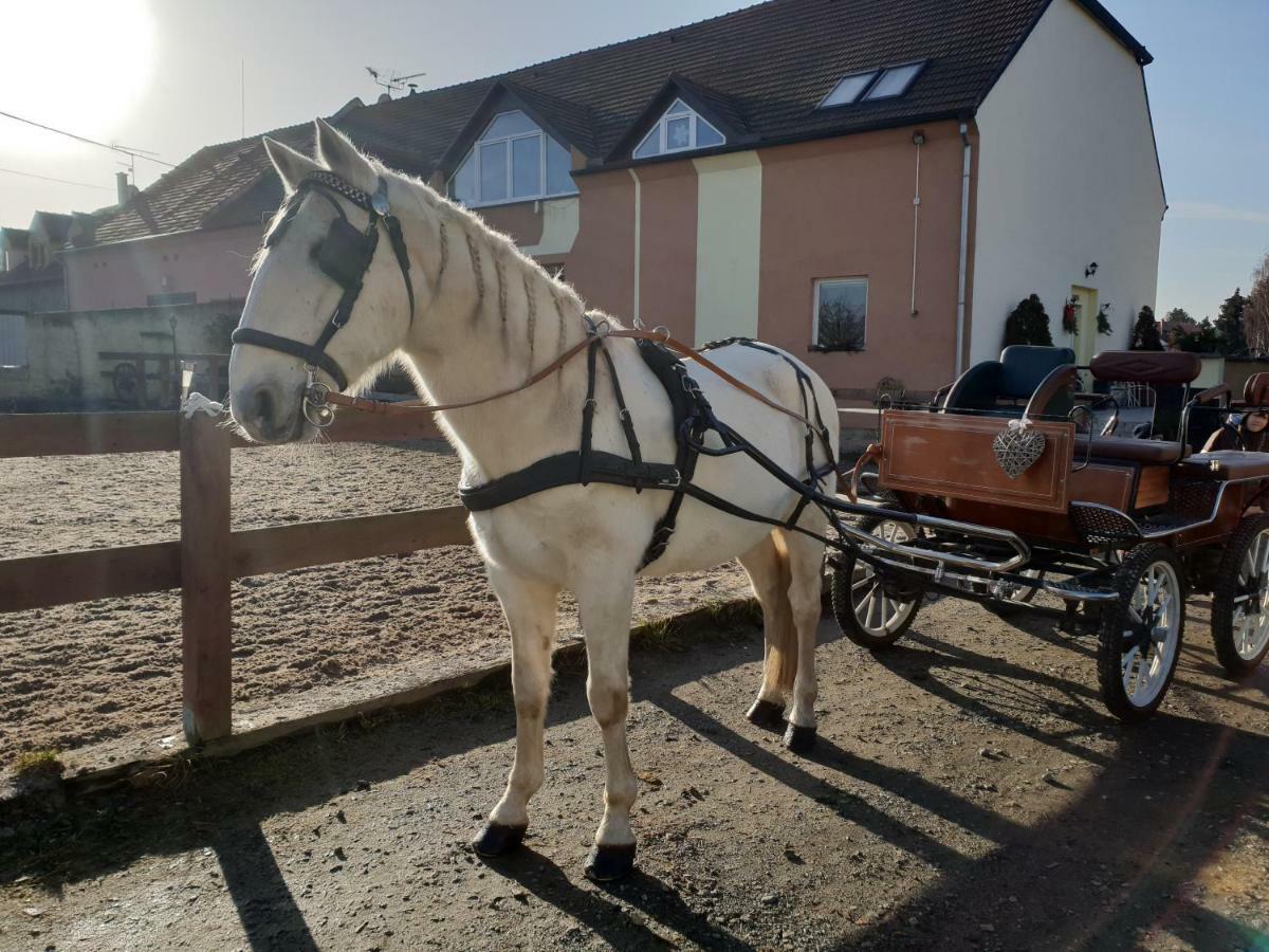 Farm Stay Nh Stables Nyrany Екстер'єр фото