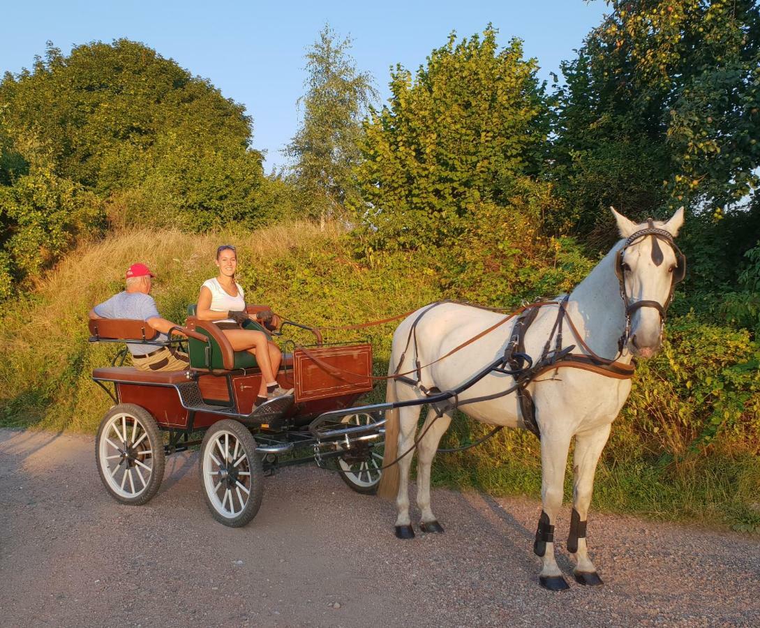 Farm Stay Nh Stables Nyrany Екстер'єр фото